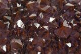 Thunder Bay Amethyst Cluster with Hematite - Top Quality! #326404-1